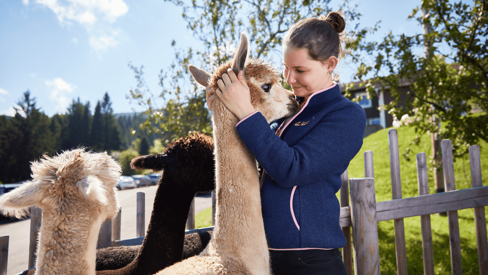 KUKU-Berghotel-Header-Erleben-Alpakas-02